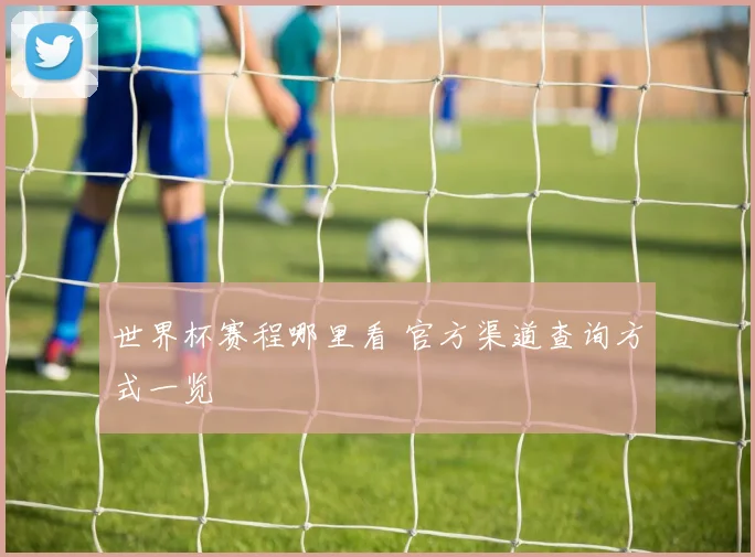 世界杯赛程哪里看 官方渠道查询方式一览